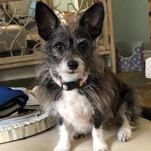 Meet your Posher, Susan